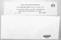 Image Associated With the Occurence